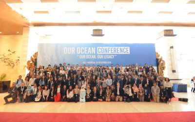 Our Ocean Conference 2018: ConsultantSeas’ main takeaways