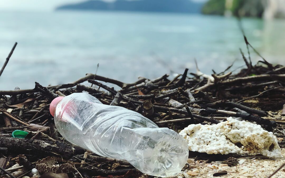 Corporations and plastic pollution