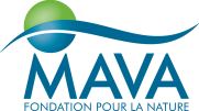 MAVA_logo_for_Office